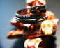 Preview: EDELSTAHL RING - STAINLESS STEEL 316L - TOP QUALITÄT -