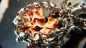 Preview: Armband aus Edelstahl