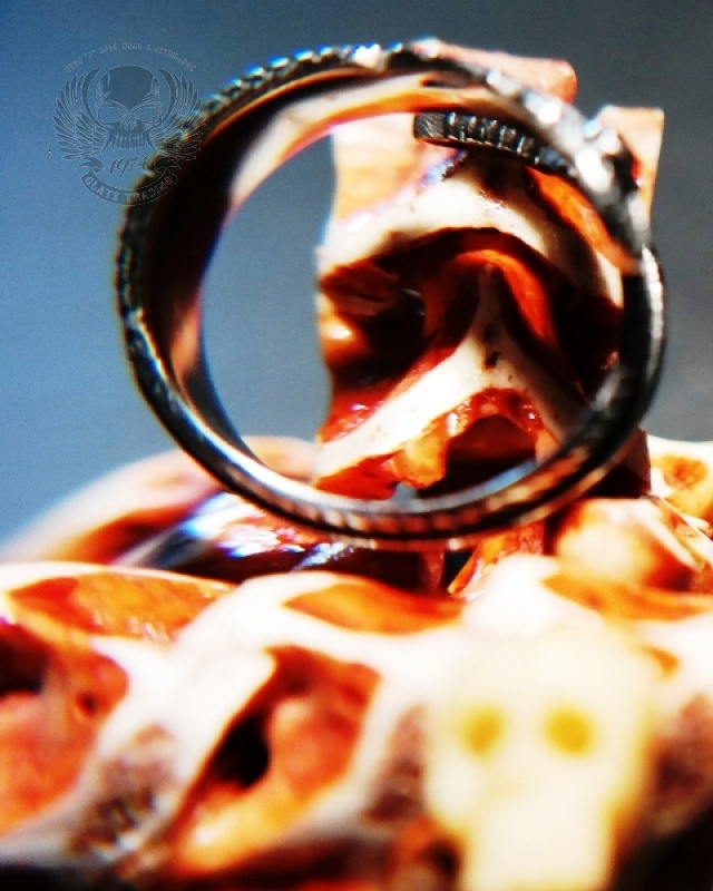 EDELSTAHL RING - STAINLESS STEEL 316L - TOP QUALITÄT -