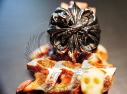 EDELSTAHL RING - STAINLESS STEEL 316L - TOP QUALITÄT -